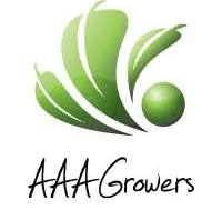 Accountant at AAA-Growers