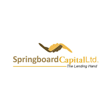 Intern Accountant at Springboard Capital Ltd