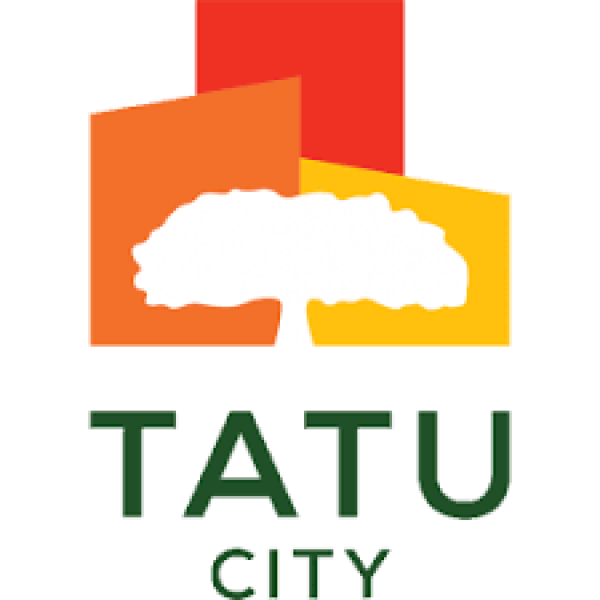 Digital Content Creation Intern at Tatu City