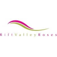 Finance Graduate Trainees at Rift Valley Roses (K) Ltd